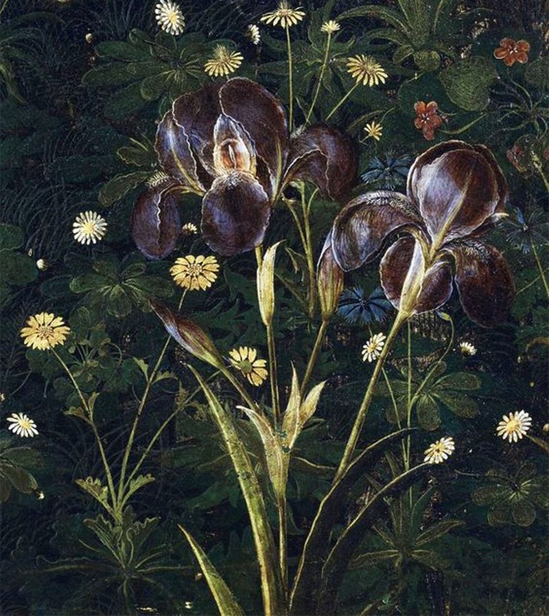 iris della Primavera di Botticelli