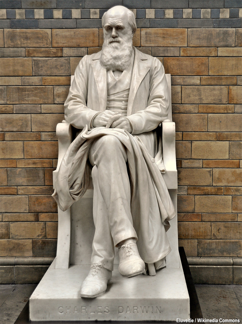 statua di Darwin