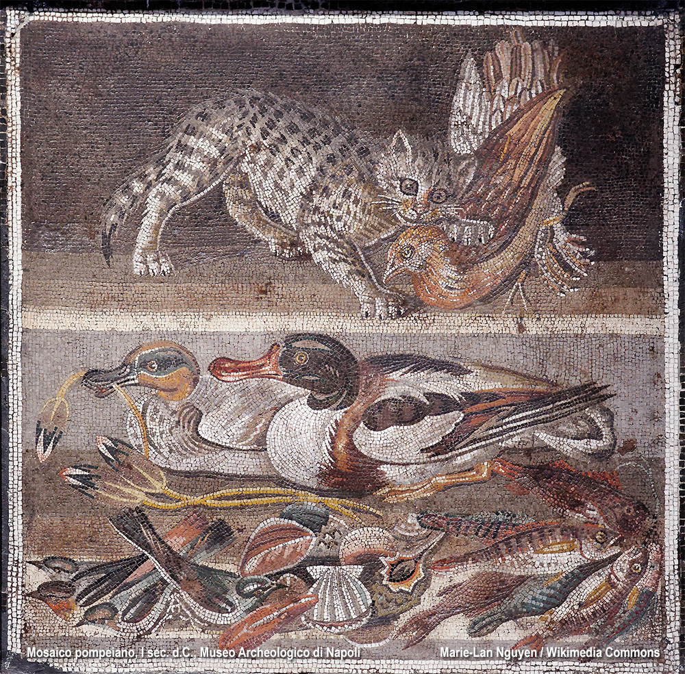 il gatto in un mosaico romano
