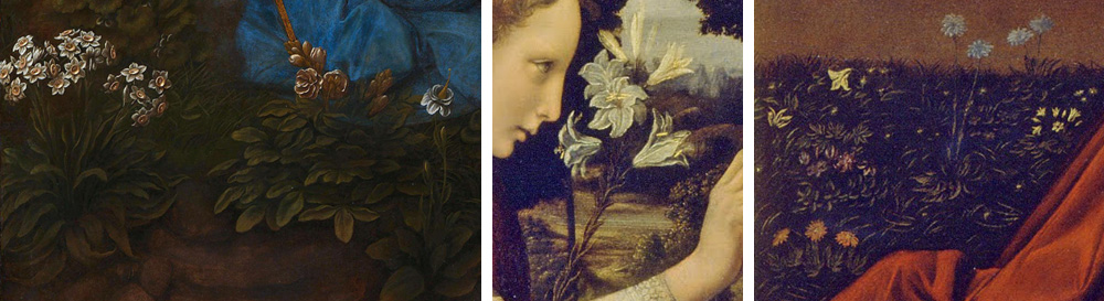 fiori nei dipinti di Leonardo
