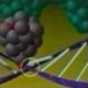 La doppia elica del DNA