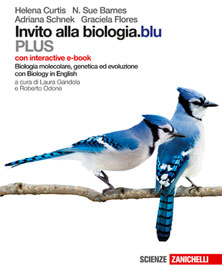 Curtis, Barnes, Schnek, Flores – Invito alla biologia.blu PLUS Biologia molecolare, genetica ed evoluzione