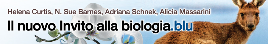  Curtis et al , Nuovo Invito alla biologia.blu