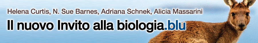 libro1 Curtis et al , Nuovo Invito alla biologia.blu