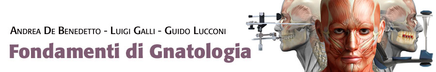 libro0 De Benedetto, Galli, Lucconi, Fondamenti di Gnatologia