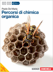 Percorsi di chimica organica