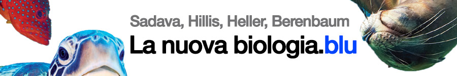 libro0 D. Sadava, D. M. Hillis, H. C. Heller, M. R. Berenbaum, La nuova biologia.blu